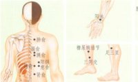 糖尿病刮痧部位图解
