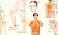 高血压刮痧部位图解