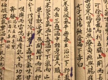 免费分享1200种中医书（附：另补充29种）