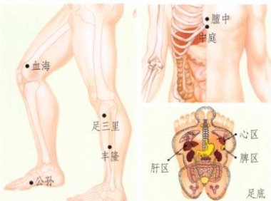 高脂血症刮痧部位图解