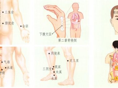 泌尿系感染刮痧部位图解
