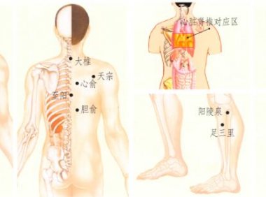 心悸刮痧部位图解