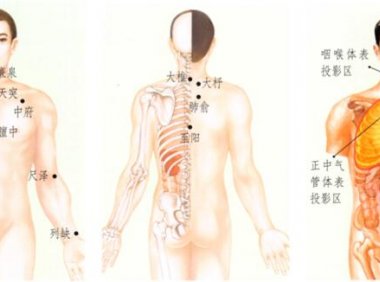 咳嗽刮痧部位图解