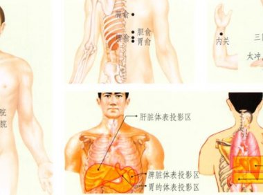 胃炎刮痧部位图解