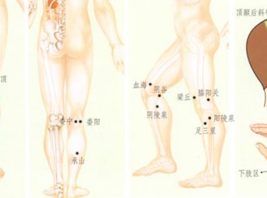 膝关节痛刮痧部位图解