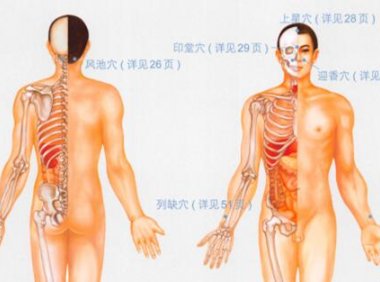 鼻炎按摩部位图解