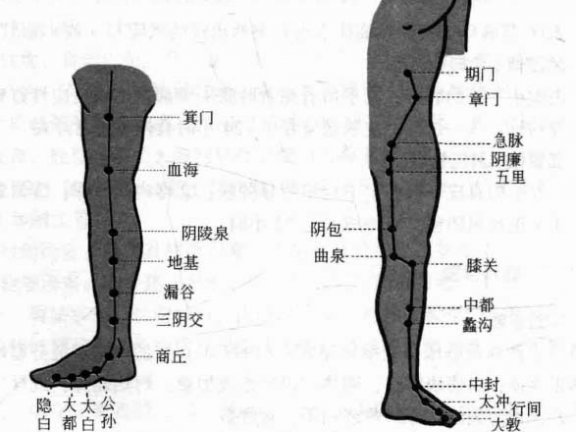 荨麻疹磁圆梅针疗法