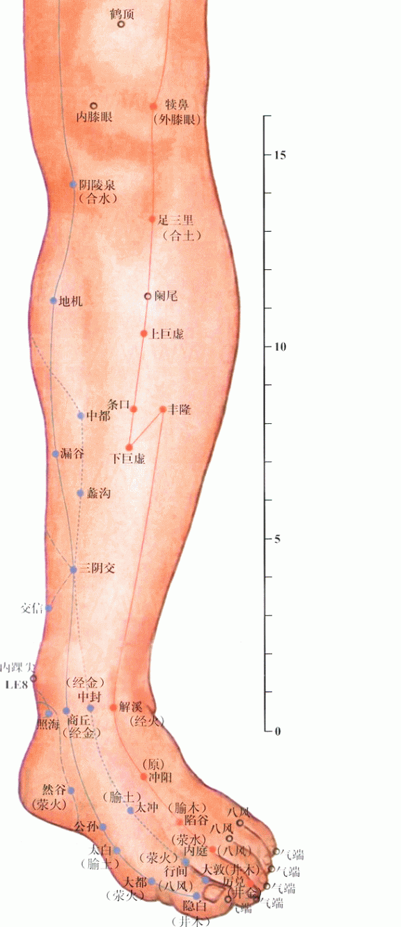 下巨虚
