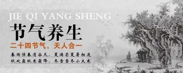 24节气养生