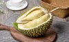 吃榴莲对月经有好处吗 来月经吃榴莲有什么好处