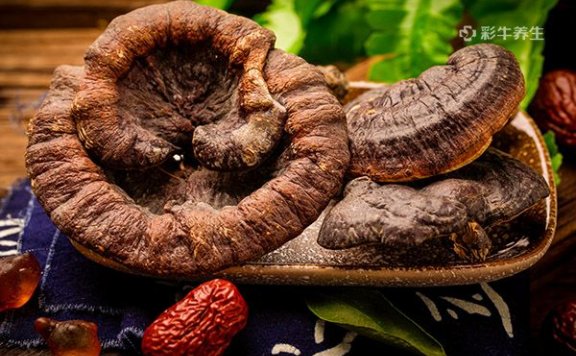灵芝的作用及食用方法 灵芝的药用价值与吃法
