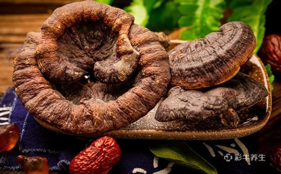 灵芝的功效与作用及食用方法 灵芝的好处与吃法