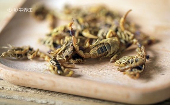 蝎子泡酒能治风湿吗 蝎子泡酒的功能和作用