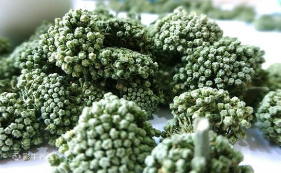 三七花泡水放几朵 三七花泡水喝的功效