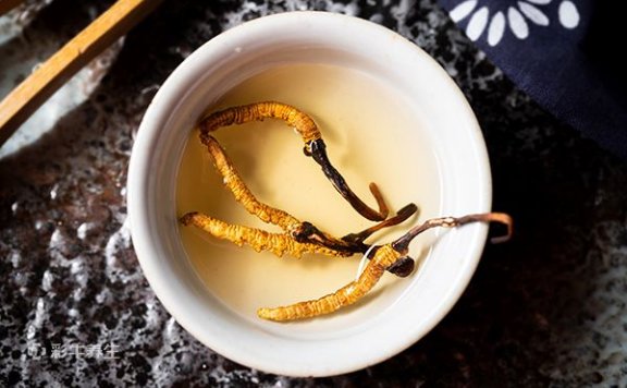 虫草泡水的最佳方法 虫草泡水的功效与作用