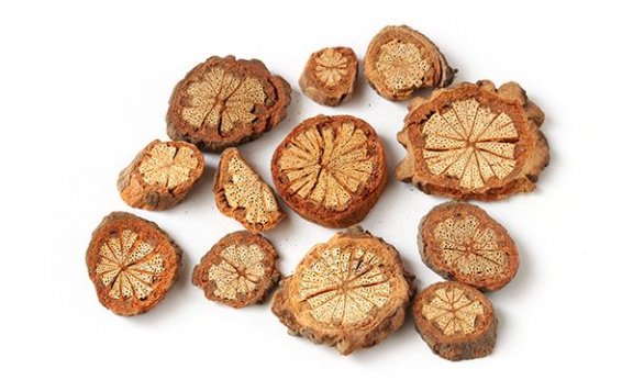 血藤泡酒的功效和作用 血藤泡酒的好处