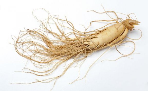 人参泡酒多久扔掉 人参泡酒喝有什么功效和作用