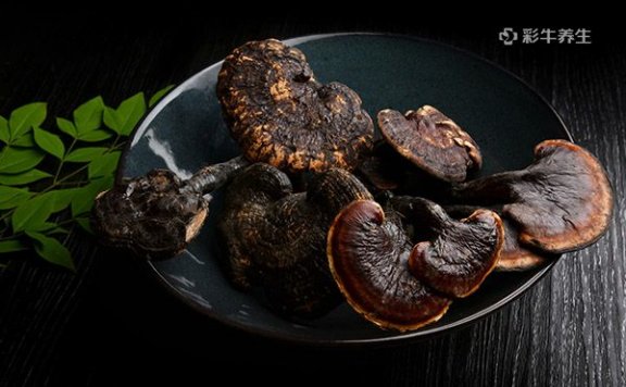 灵芝泡水喝的功效与作用 灵芝泡水喝有哪些好处