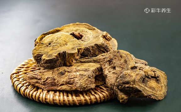 大黄泡水的方法 大黄泡水的功效与作用