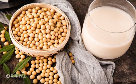 孕妇吃什么有营养 孕妇补充营养可以吃什么