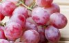 葡萄